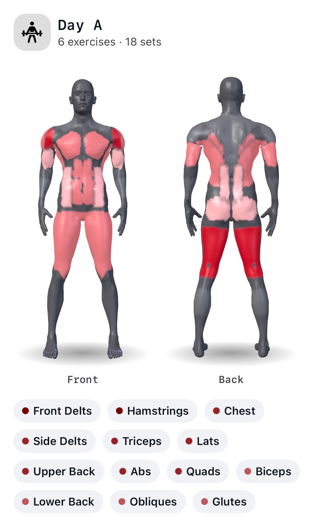 Cinder's muscle map for Day A, a 3D body seen from the front and the back; shaded deepest red: front delts and hamstrings; lighter: chest, side delts, triceps, lats, upper back, abs and quads; palest: biceps, lower back, obliques and glutes. Everything else stays grey.