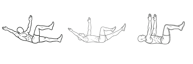 Line drawing of the dead bug, in 3 steps from start to finish