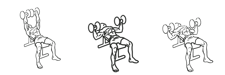 Line drawing of the dumbbell bench press, in 3 steps from start to finish