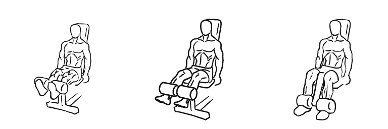 Line drawing of the leg extension, in 3 steps from start to finish