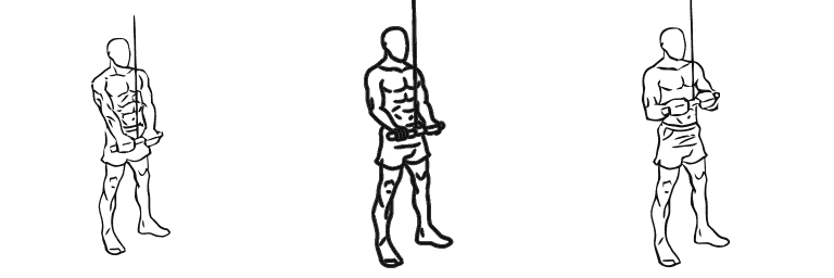 Line drawing of the tricep pushdown, in 3 steps from start to finish