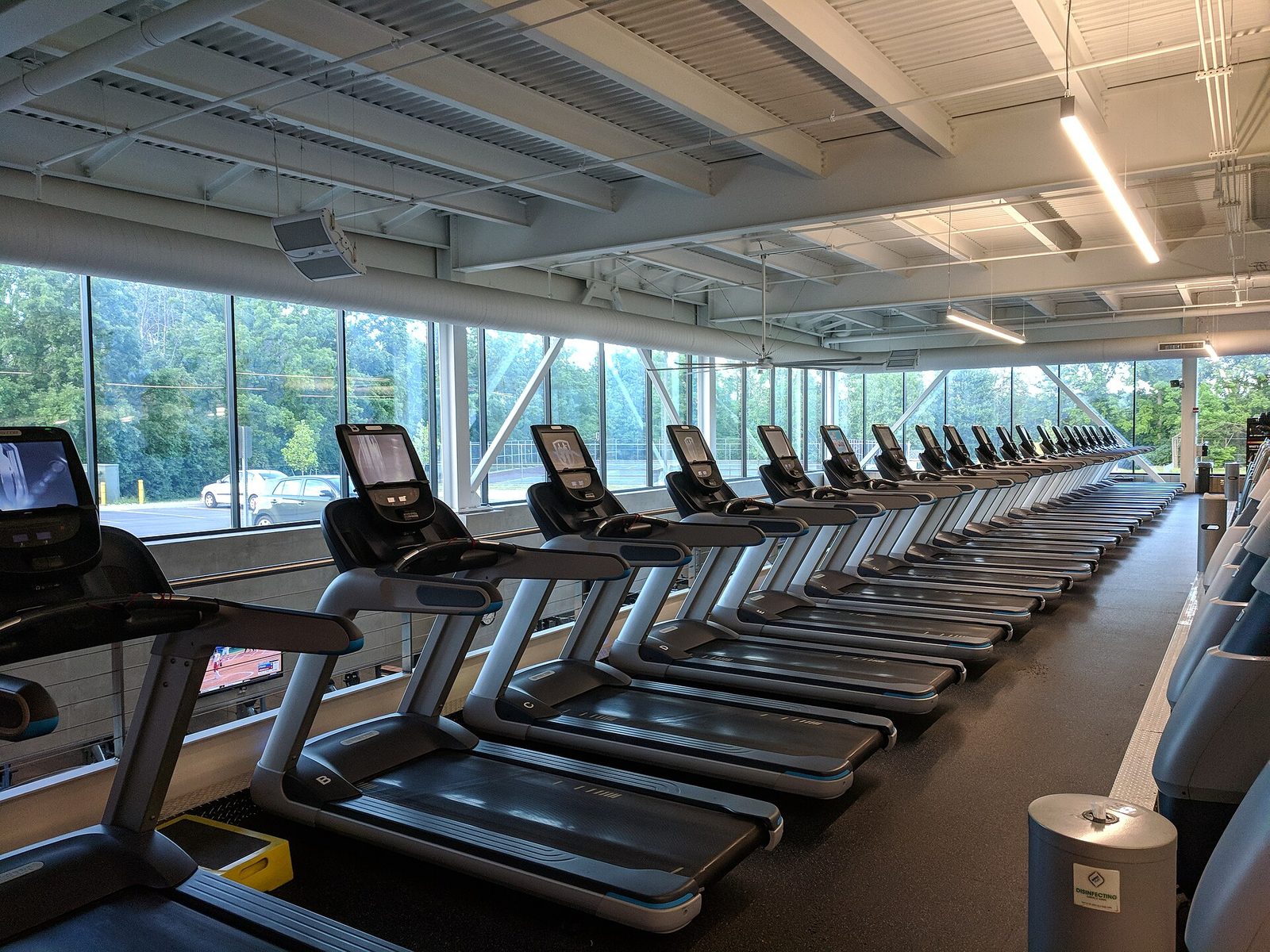 A long row of empty treadmills facing floor-to-ceiling windows in a bright gym, with trees and parked cars outside