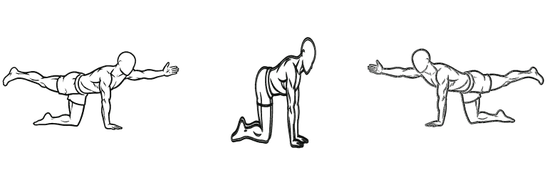 Line drawing of the bird dog in three frames: one arm and the opposite leg reaching out level with the back, the start position on all fours, then the other arm and leg