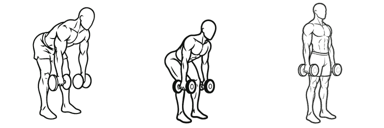 Line drawing of the dumbbell Romanian deadlift, in 3 steps from start to finish