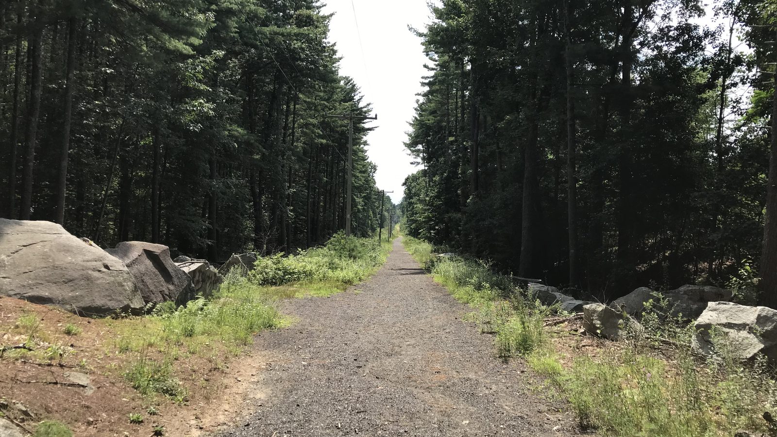 An empty gravel rail trail running straight between tall pines, with large boulders along both sides and telephone poles fading into the distance