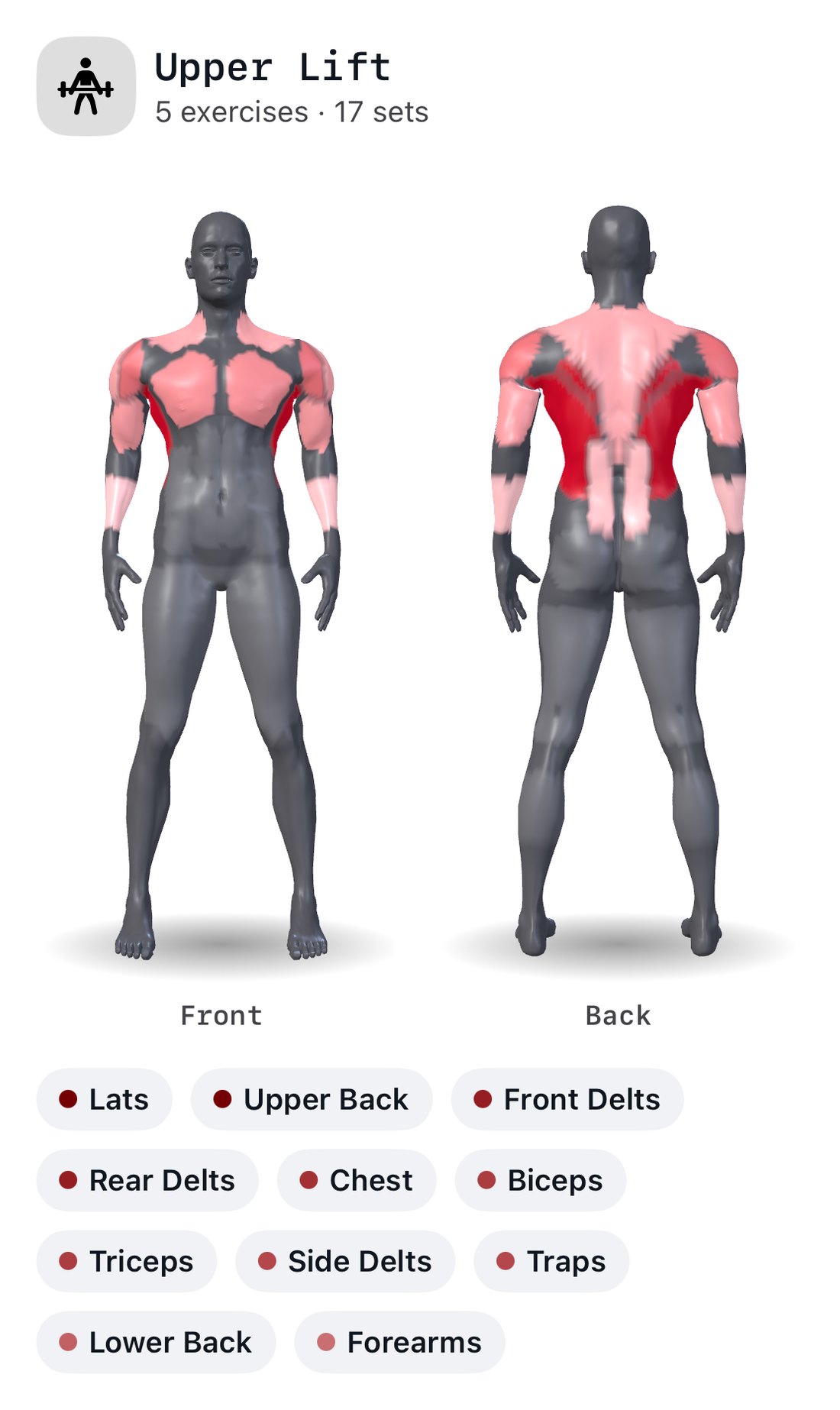 Cinder's muscle map for Upper Lift, a 3D body seen from the front and the back; shaded deepest red: lats and upper back; lighter: front delts, rear delts, chest, biceps, triceps, side delts and traps; palest: lower back and forearms. Everything else stays grey.