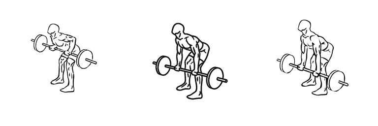 Line drawing of the barbell row, in 3 steps from start to finish