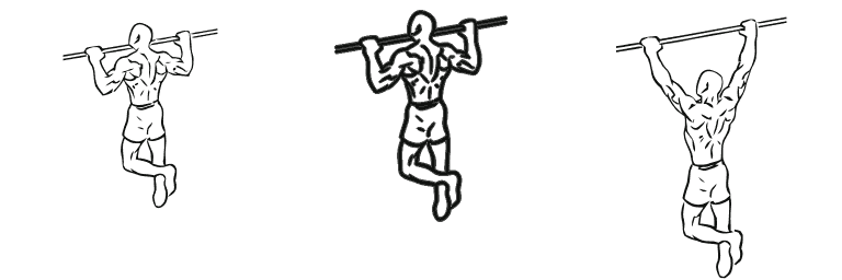 Line drawing of the pull-up, in 3 steps from start to finish