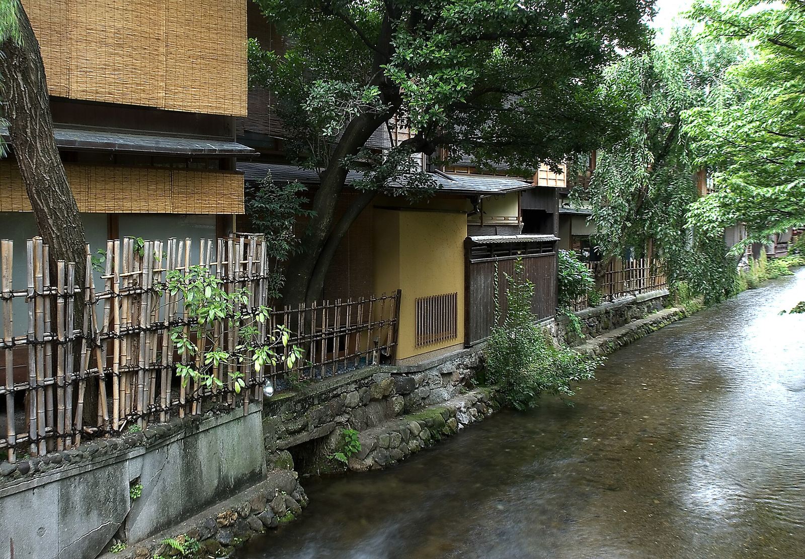 The shallow Shirakawa canal running past bamboo screens and the wooden back walls of Gion teahouses, with trees leaning over the water