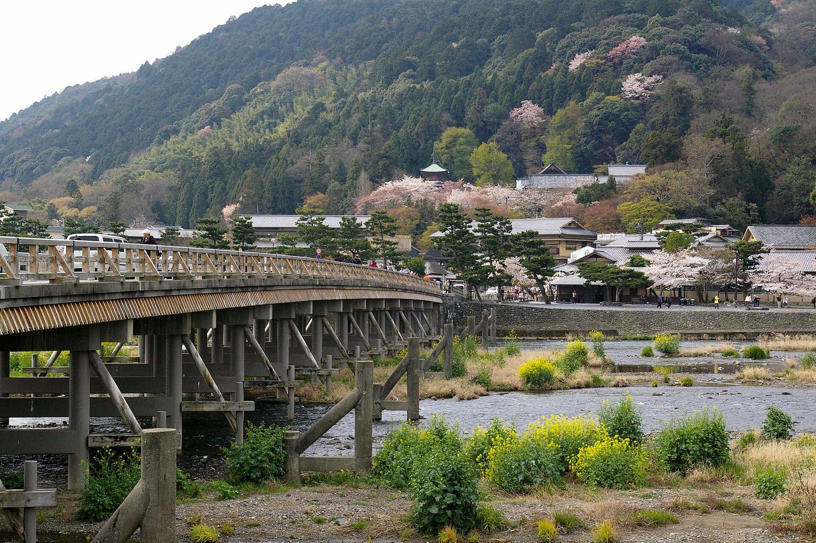 Togetsukyo Bridge stretching across the shallow Katsura River below the green slopes of Mount Arashiyama, photographed in spring with blossom on the hillside and yellow flowers on the bank