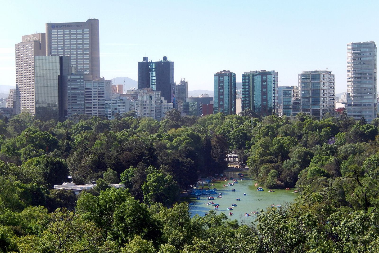 The Lago de Chapultepec seen from the castle hill: rowing and pedal boats on the green lake, thick trees all around and the towers of Paseo de la Reforma behind