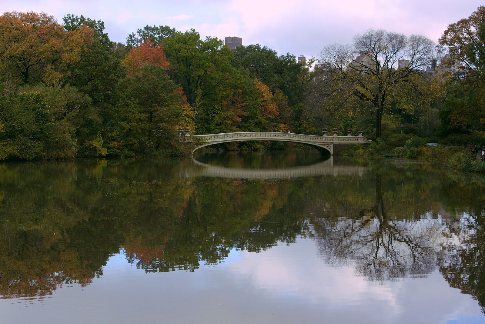 Bow Bridge, a low cream-colored cast-iron arch, crossing the still water of the Lake in Central Park, with autumn trees in red, orange and green reflected in the water