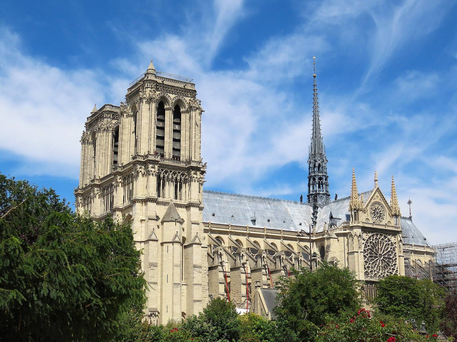 Notre-Dame de Paris after its restoration, seen from Square René-Viviani: pale stone towers, the south rose window and the rebuilt spire rising above summer trees