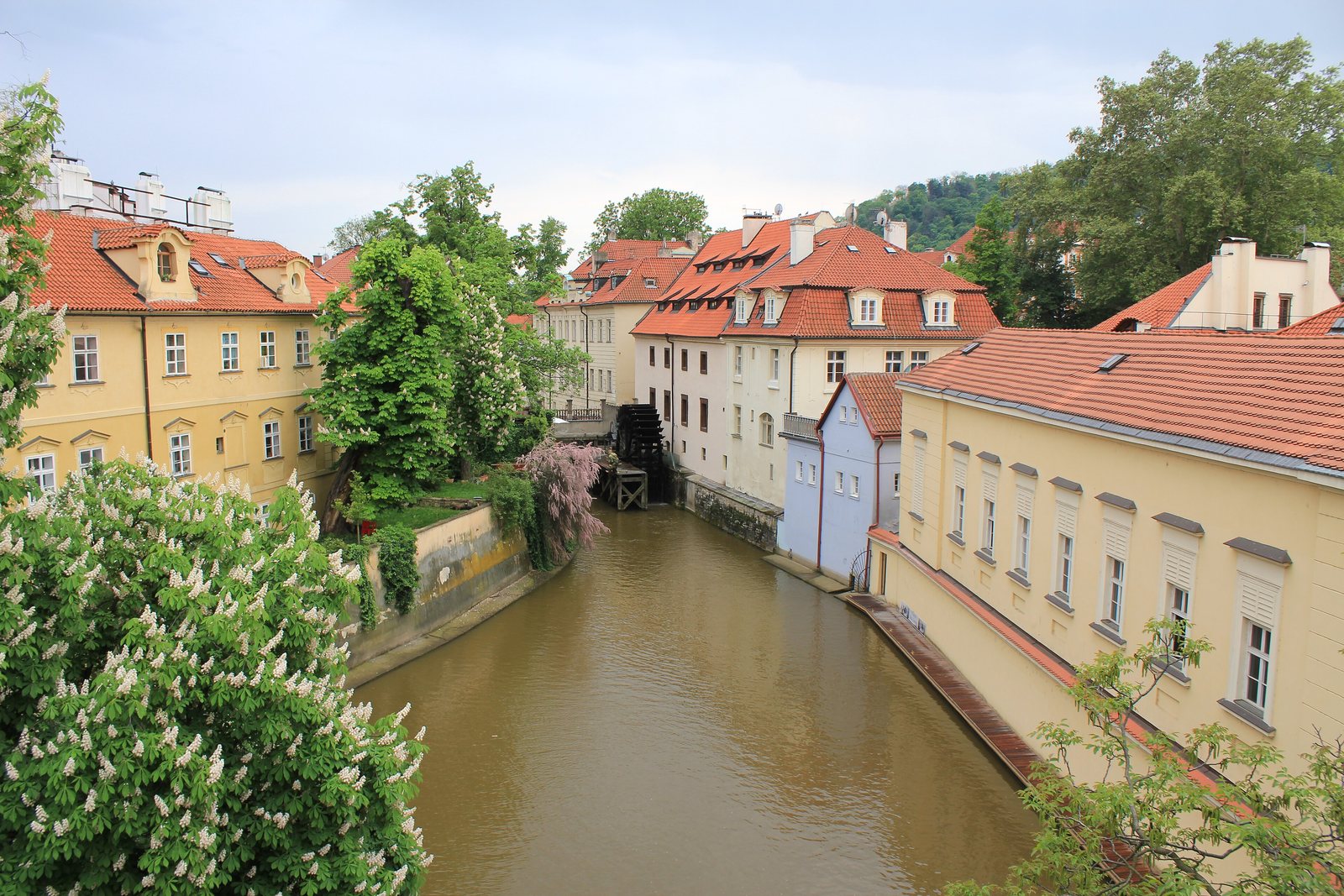 The Čertovka millrace on Kampa, with an old mill wheel beside pastel houses with red roofs and a flowering chestnut tree in the foreground