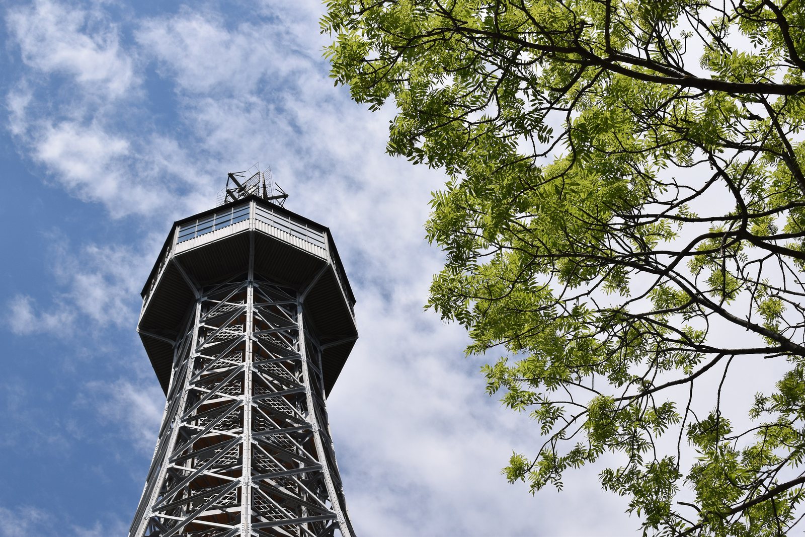 The top of the Petřín Lookout Tower, an octagonal steel lattice tower with a viewing gallery, seen from below against a blue sky with leafy branches at one side
