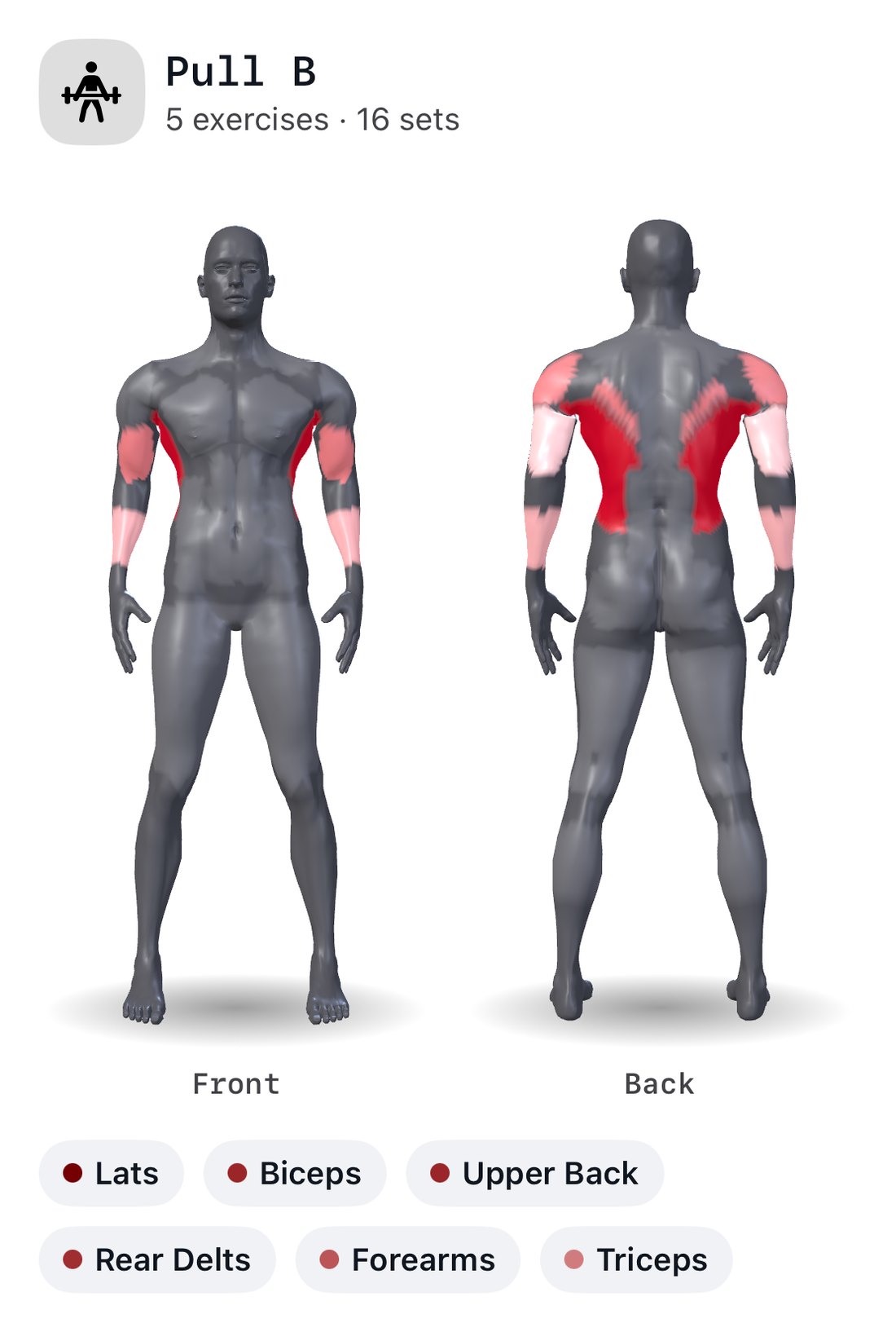 Cinder's muscle map for Pull B, a 3D body seen from the front and the back; shaded deepest red: lats; lighter: biceps, upper back and rear delts; palest: forearms and triceps. Everything else stays grey.