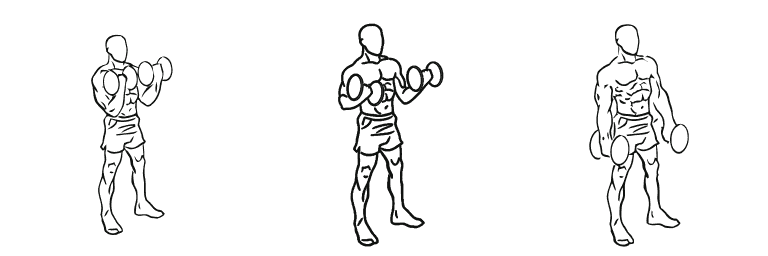 Line drawing of the bicep curl, in 3 steps from start to finish