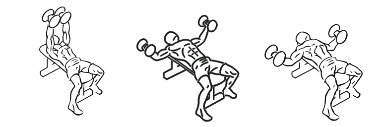 Line drawing of the dumbbell fly, in 3 steps from start to finish