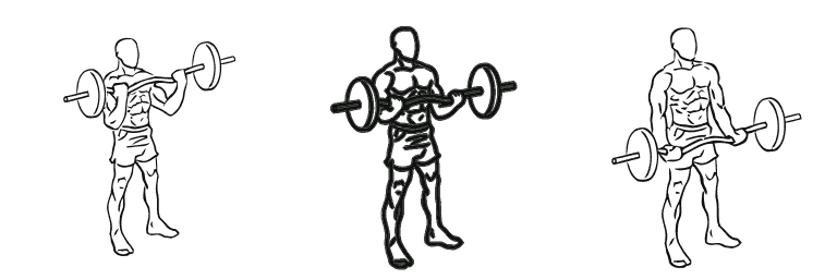 Line drawing of the ez-bar curl, in 3 steps from start to finish