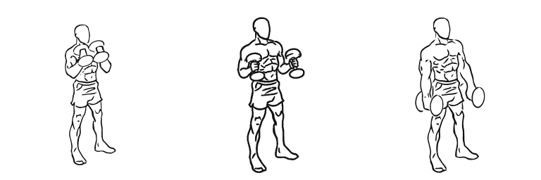 Line drawing of the hammer curl, in 3 steps from start to finish