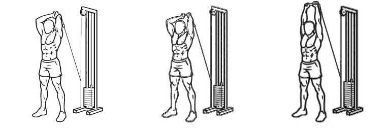 Line drawing of the overhead tricep extension, in 3 steps from start to finish