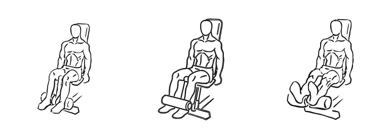 Line drawing of the seated leg curl, in 3 steps from start to finish