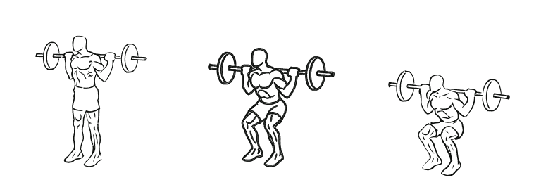 Line drawing of the squat, in 3 steps from start to finish