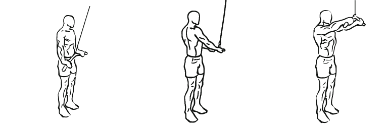 Line drawing of the straight-arm pulldown, in 3 steps from start to finish