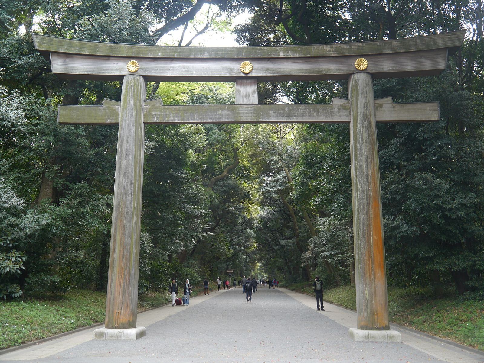 A tall wooden torii gate over the wide gravel approach to Meiji Jingu, surrounded by dense forest