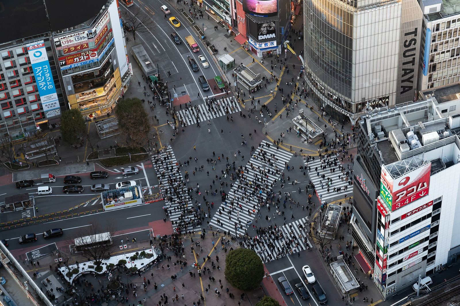 Looking straight down on the Shibuya Scramble Crossing from SHIBUYA SKY, with crowds crossing in every direction