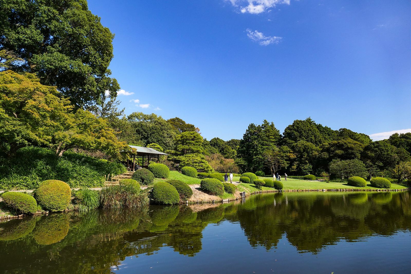 A pond in the Japanese landscape garden of Shinjuku Gyoen, with clipped shrubs and tall trees reflected in still water under a blue sky