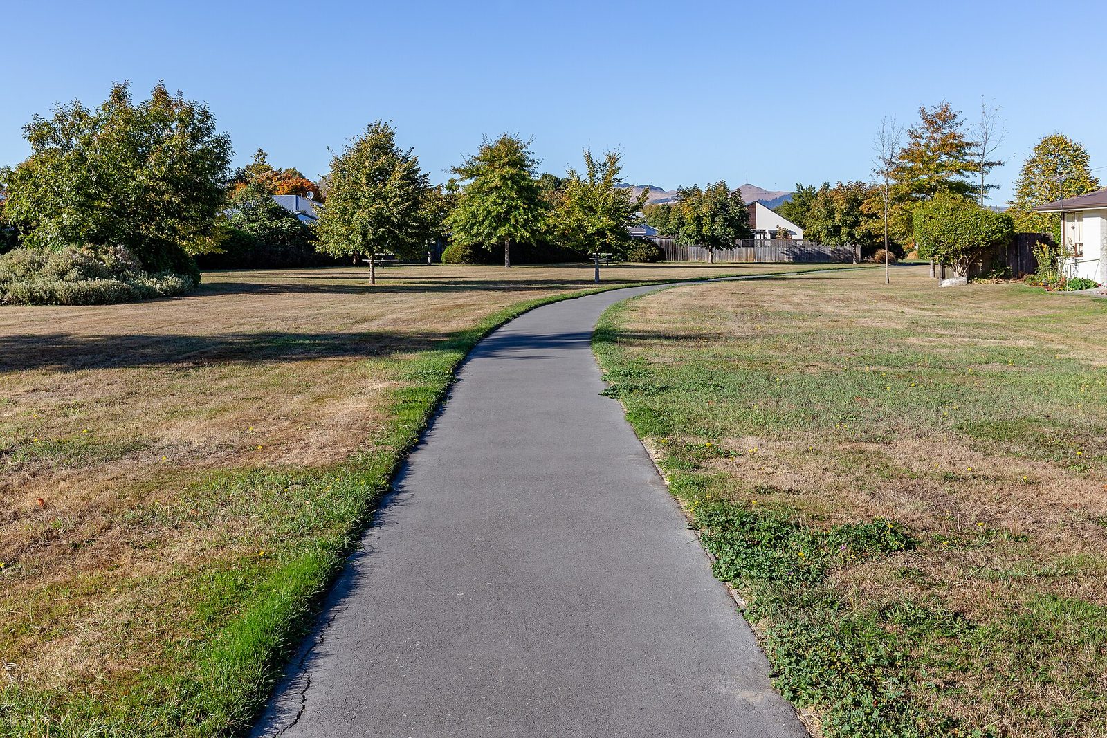 An empty paved path curving across a sunlit park lawn lined with trees, with houses at the far edge