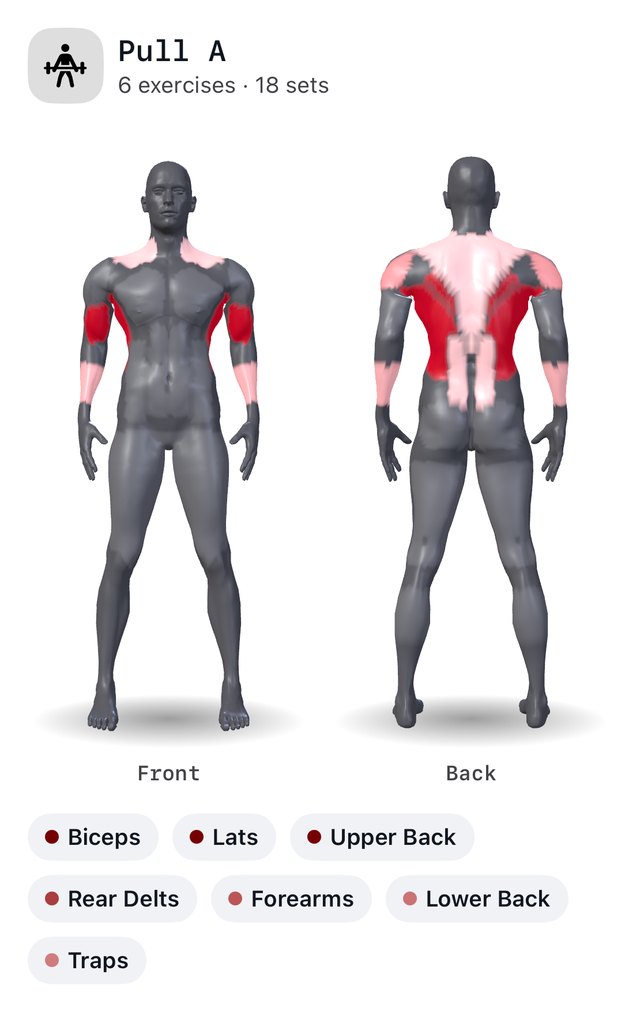 Cinder's muscle map for Pull A: lats, upper back and biceps lit red on the back of the body