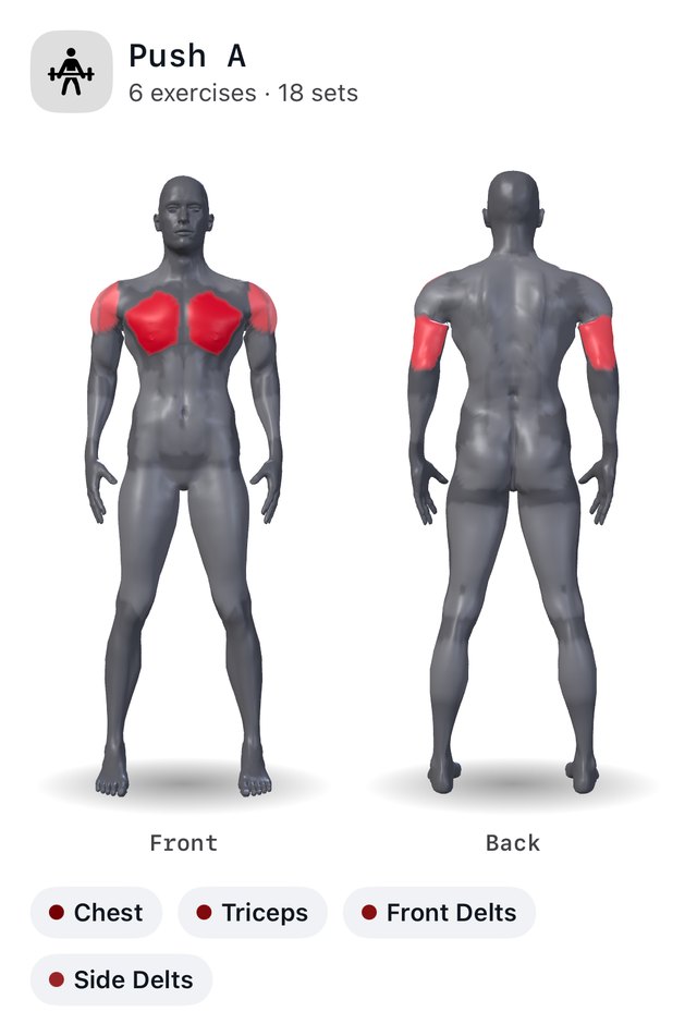 Cinder's muscle map for Push A: chest, triceps and front delts lit red on the front of the body